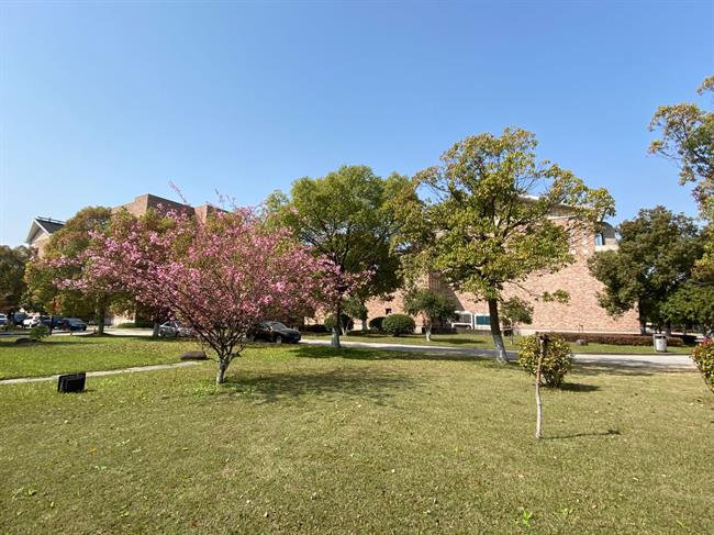 微信图片_20200320203352.jpg 微信图片_20200320203352.jpg